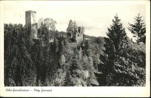 Hoehr-Grenzhausen Burg Grenzau x