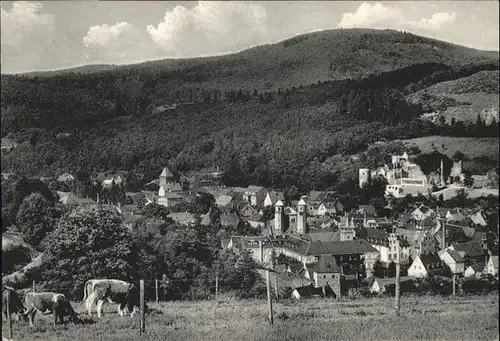 Bad Muenstereifel Kuehe *