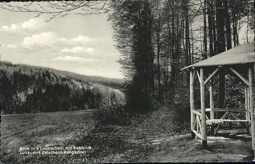 Ehlscheid Rengsdorf Laubachtal Rehblick *