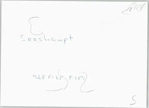 Seeshaupt Seeshaupt Fliegeraufnahme ungelaufen ca. 1965 / Seeshaupt /Weilheim-Schongau LKR