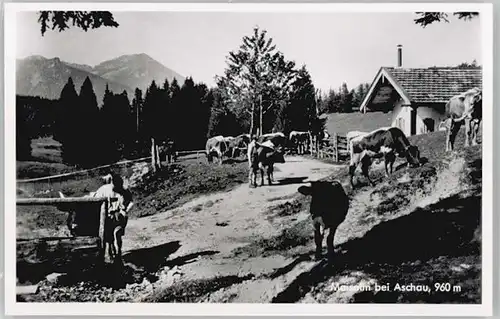 Aschau Chiemgau Aschau Chiemgau Maisalm ungelaufen ca. 1955 / Aschau i.Chiemgau /Rosenheim LKR