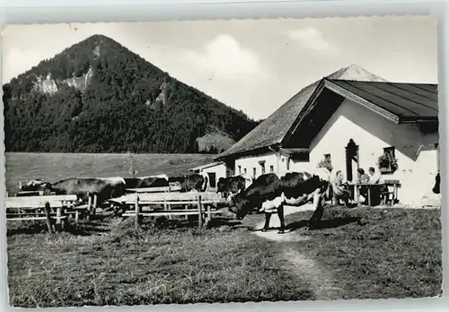 Aschau Chiemgau Aschau Chiemgau Hofalm ungelaufen ca. 1955 / Aschau i.Chiemgau /Rosenheim LKR