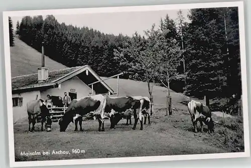 Aschau Chiemgau Aschau Chiemgau Maisalm ungelaufen ca. 1955 / Aschau i.Chiemgau /Rosenheim LKR