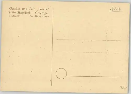 Siegsdorf Siegsdorf Gasthof Cafe Forelle ungelaufen ca. 1920 / Siegsdorf /Traunstein LKR