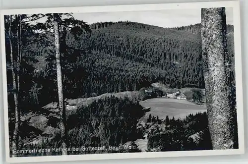 Gotteszell Gotteszell Kalteck ungelaufen ca. 1955 / Gotteszell /Regen LKR