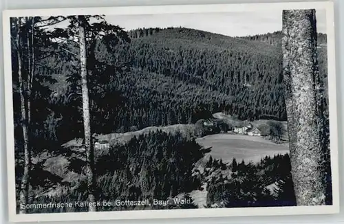Gotteszell Gotteszell Kalteck ungelaufen ca. 1955 / Gotteszell /Regen LKR