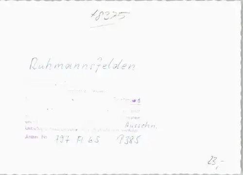 Ruhmannsfelden Ruhmannsfelden Fliegeraufnahme ungelaufen ca. 1965 / Ruhmannsfelden /Regen LKR