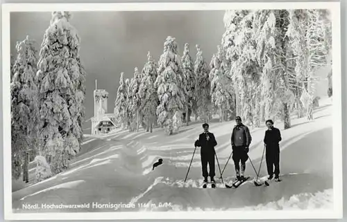 Hornisgrinde Hornisgrinde  * / Sasbach /Ortenaukreis LKR