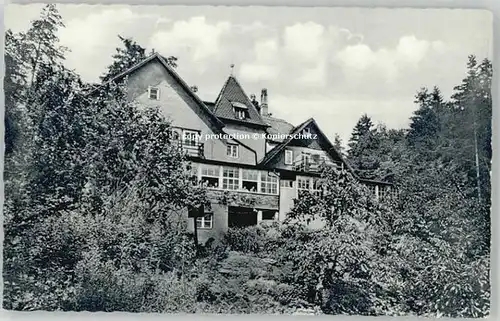 Lauf Pegnitz Wald Cafe Ludwigshoehe * 1955