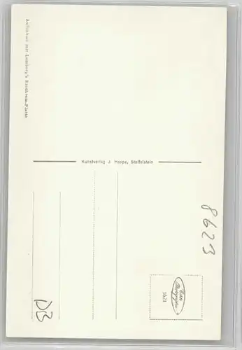 Staffelstein  * 1955