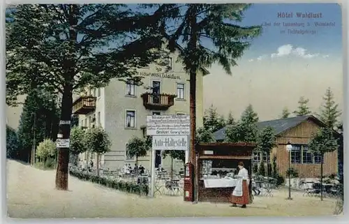 Wunsiedel Wunsiedel Fichtelgebirge Hotel Waldlust Luisenburg x 1918 / Wunsiedel /Wunsiedel LKR