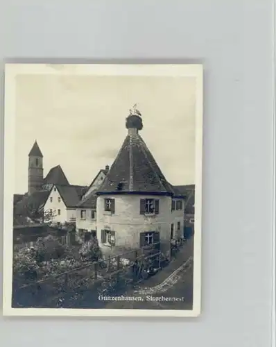 Gunzenhausen Altmuehlsee Storchennest  