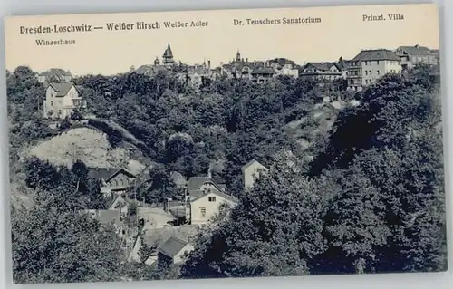 Loschwitz Weisser Hirsch Villa Winzerhaus Sanatorium *