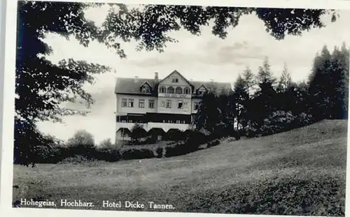 Hohegeiss Hotel Dicke Tannen x