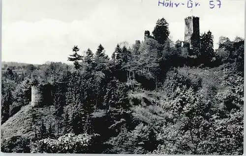 Hoehr-Grenzhausen Burg Grenzau *