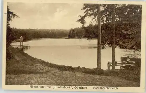 Buntenbock Baerenbrucher Teich x