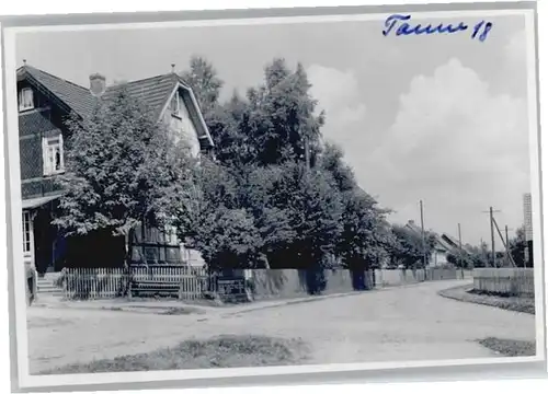 Tanne Harz  *