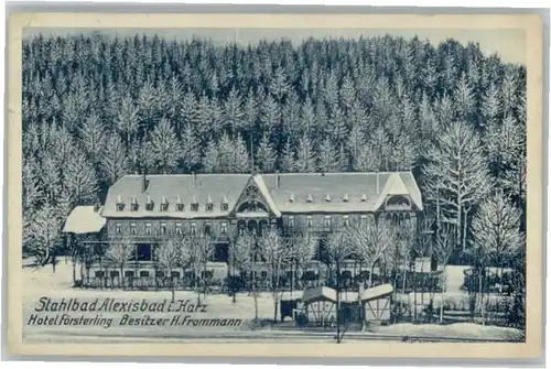 Alexisbad Harz Alexisbad Hotel Foersterling Bahnhof Villa x / Harzgerode /Harz LKR