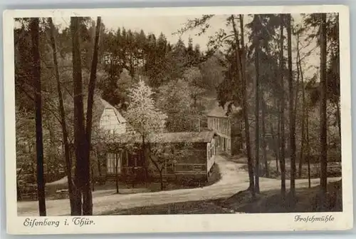 Eisenberg Thueringen Froschmuehle Muehltal x