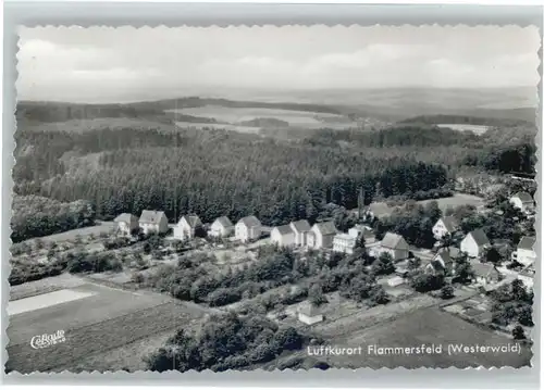 Flammersfeld Fliegeraufnahme *