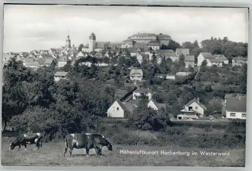 Hachenburg  *