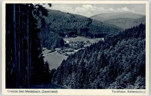 Medebach Forsthaus Kaltenscheid *
