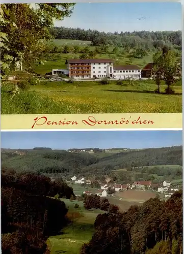 Hoechst Odenwald Pension Dornroeschen Gasthaus Cafe x