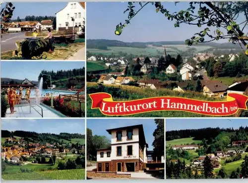 Hammelbach  x