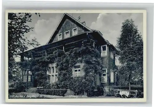 Alsbach Bergstrasse Alsbach Sanatorium Schlossberg Villa * / Alsbach-Haehnlein /Darmstadt-Dieburg LKR