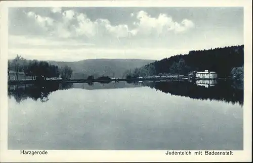 Harzgerode Judenteich / Harzgerode /Harz LKR