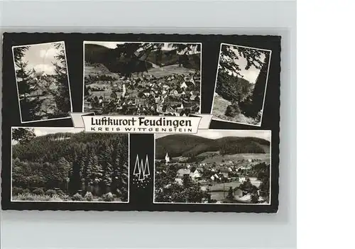 Feudingen Luftkurort / Bad Laasphe /Siegen-Wittgenstein LKR