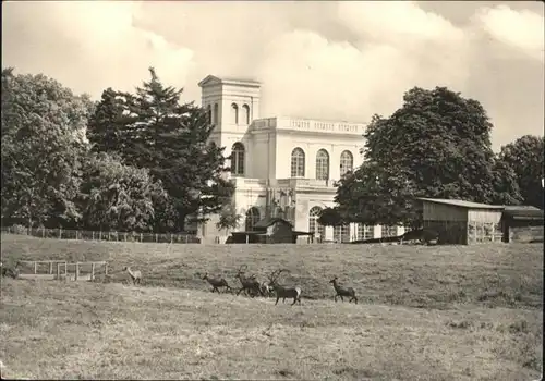 Putbus Ruegen Tierpark / Putbus /Ruegen LKR