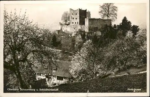 Oberkirch Baden Schauenburg Schlosswirtschaft / Oberkirch /Ortenaukreis LKR