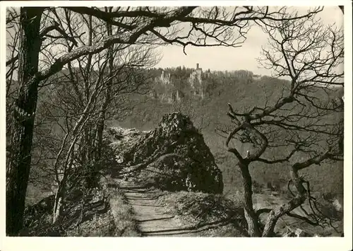 Traifelberg Blick auf Schloss Lichtenstein / Lichtenstein /Reutlingen LKR