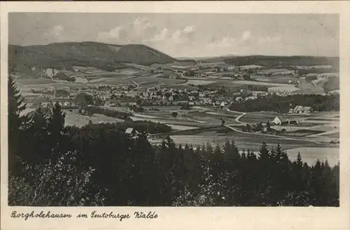 Borgholzhausen Gesamtansicht / Borgholzhausen /Guetersloh LKR