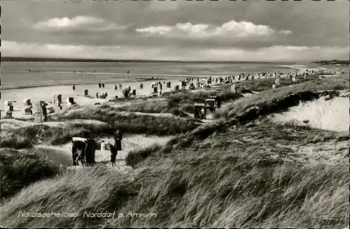 Amrum  / Nebel /Nordfriesland LKR