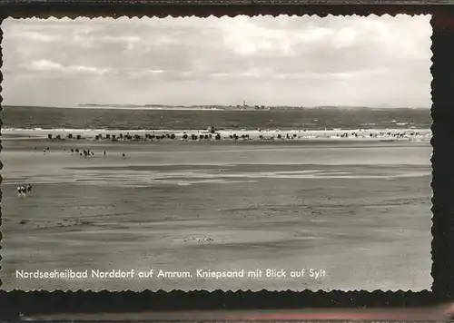 Amrum Kniepsand  / Nebel /Nordfriesland LKR