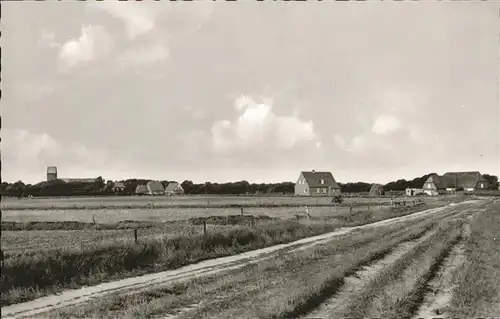 Nieblum  / Nieblum Insel Foehr /Nordfriesland LKR