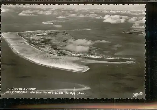 Amrum Westspitze Suedspitze Fliegeraufnahme  / Nebel /Nordfriesland LKR