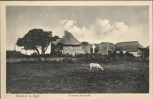 Keitum Sylt Ziege / Sylt-Ost /Nordfriesland LKR