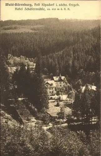 Kipsdorf Wald Baerenburg Hotel Schaefermuehle / Altenberg /Saechsische Schweiz-Osterzgebirge LKR