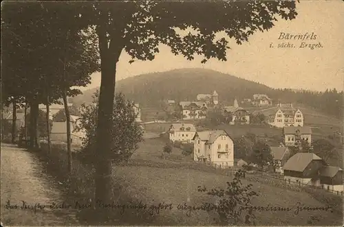 Baerenfels Erzgebirge Teilansicht / Altenberg /Saechsische Schweiz-Osterzgebirge LKR