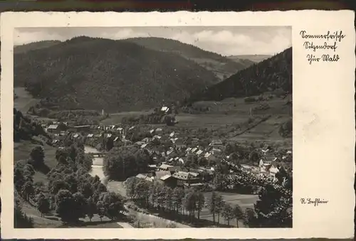 Sitzendorf Thueringen Panorama / Sitzendorf Schwarzatal /Saalfeld-Rudolstadt LKR