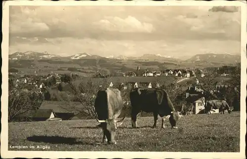 Kempten Allgaeu Panorama Rinder / Kempten (Allgaeu) /Kempten Stadtkreis