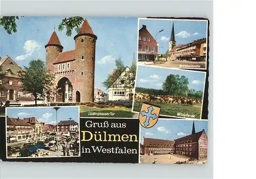 Duelmen Wildpferde Viktor Kirche  Luedinghauser Tor / Duelmen /Coesfeld LKR