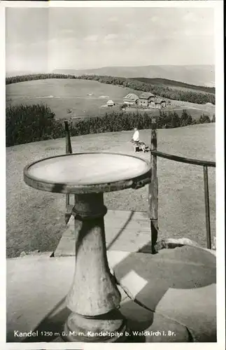 Kandel Waldkirch Breisgau Kandelspitze Hund / Waldkirch /Emmendingen LKR