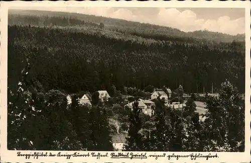 Berggiesshuebel Zwiesel / Bad Gottleuba-Berggiesshuebel /Saechsische Schweiz-Osterzgebirge LKR