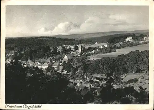 Berggiesshuebel Gesamtansicht / Bad Gottleuba-Berggiesshuebel /Saechsische Schweiz-Osterzgebirge LKR