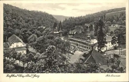 Alexisbad Harz  / Harzgerode /Harz LKR