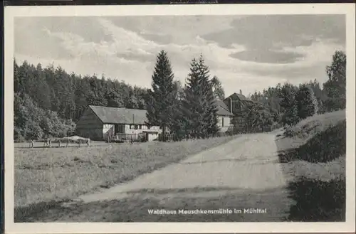 Eisenberg Thueringen Muehltal Meuschkkensmuehle / Eisenberg /Saale-Holzland-Kreis LKR